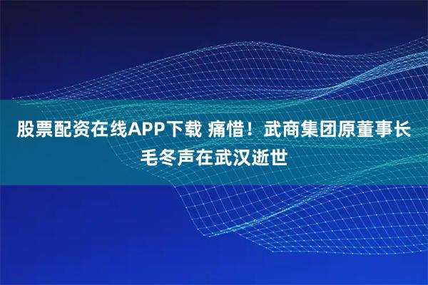 股票配资在线APP下载 痛惜！武商集团原董事长毛冬声在武汉逝世